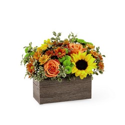 The FTD Harvest Garden Wooden Box 